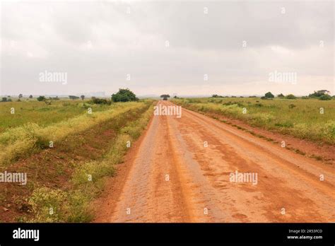 A dirt road in the savanah grassland landscapes of Nairobi National