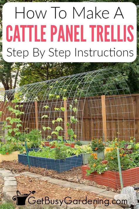 Cattle Panel Trellis Diy How To Make An Arch Tunnel For Your Garden