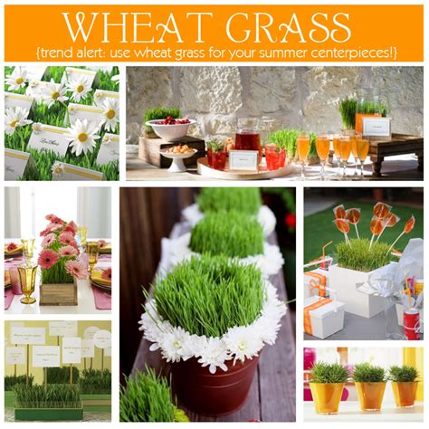 Circle The Date Events Llc Summer Party Trend Wheat Grass