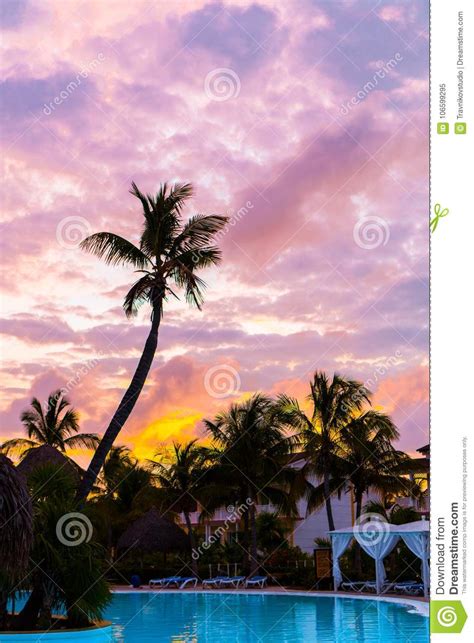 Blue Pink And Red Sunset Over Sea Beach With Palmtree