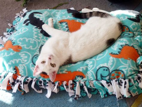 10 Crazy Awesome Diy Cat Beds That Anyone Can Make Diy Cat Bed No