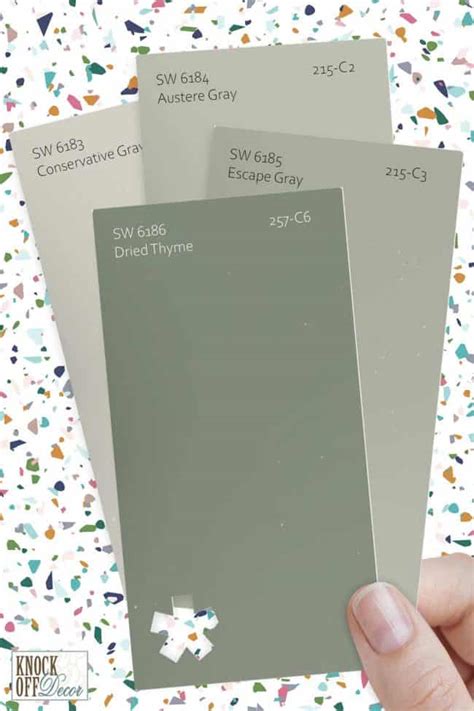 Sherwin Williams Dried Thyme Review The Trending Sage Green Paint