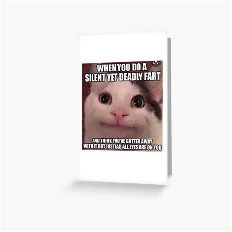 Polite Cat Meme Featuring Cute Beluga Cat A Funny Cat Meme Depicting A