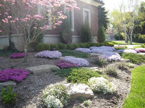 Creeping Phlox Add Color To His Landscape Landscape Plants Backyard