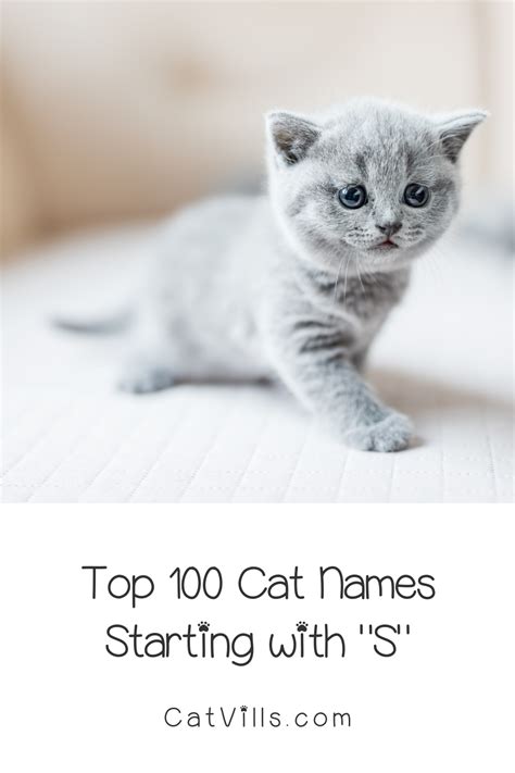 Popular Kitten Names 2020