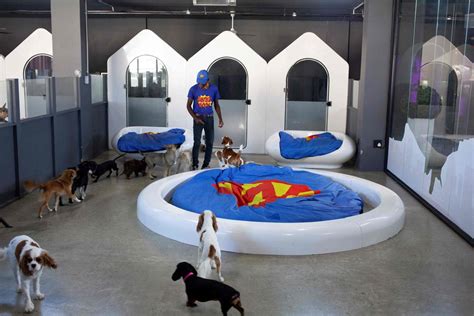 Bangkok Post - Luxury dog hotels give paws for thought