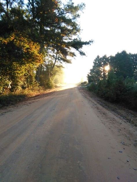 Georgia Dirt Road And Morning Sun Country Roads Road Dirt Road
