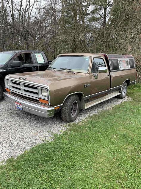 1989 Dodge D150 Pickup Brown Rwd Automatic D150 For Sale Dodge D150