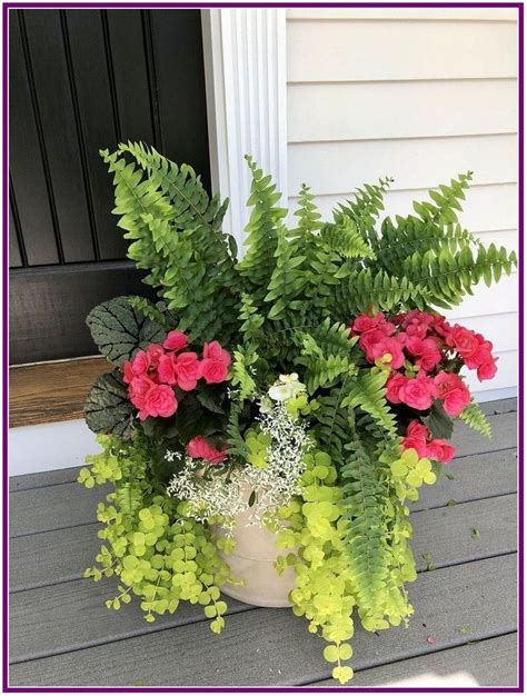 Summer Shade Flowers For Pots Flower Pot Ideas Your Container Garden