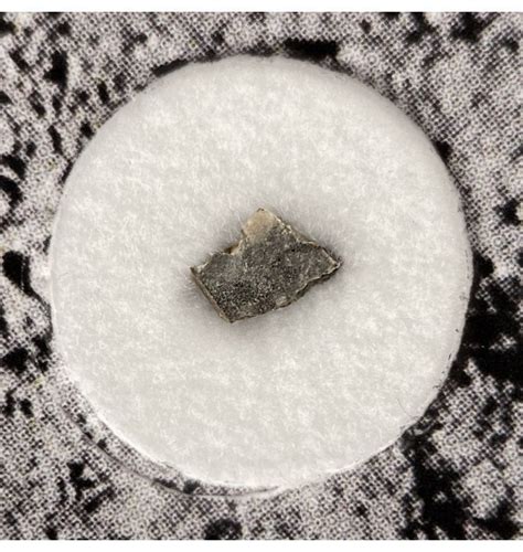 Fossils Moon Rock 17 Mg 10203 Lunar Meteorite