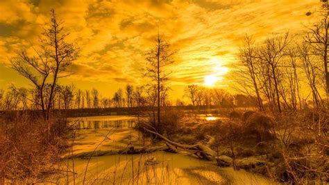 Wallpaper Nature Gold Yellow Landscape Sunlight 1920x1080