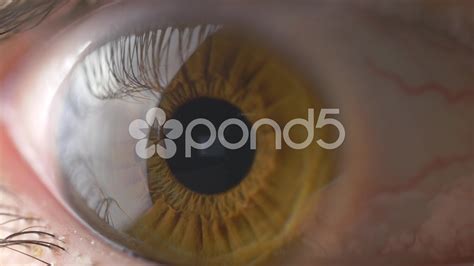 4k-eye-macro-closeup-stock-footage-ad-,-macro-eye-footage-closeup-in-2020-close-up,-macro