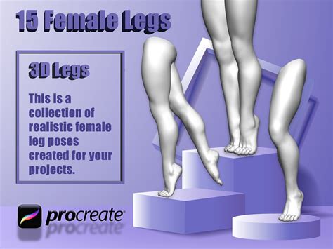 D Realistic Female Legs Procreate D Procreate Stamps Procreate