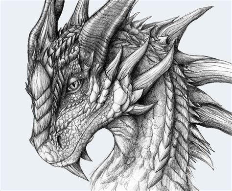Awesome Dragon Drawing