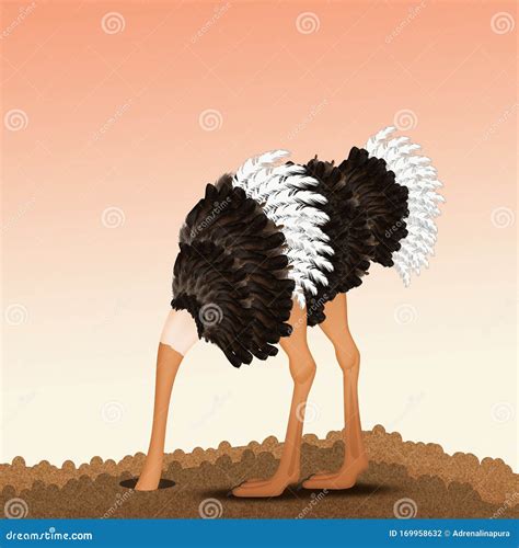 Ostrich With His Head In The Sand Stock Illustration Illustration Of