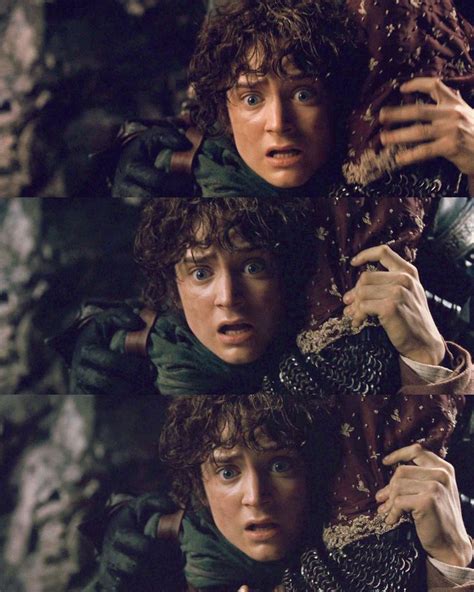 Frodo In The Fellowship Of The Ring The Hobbit Lord Of The Rings Frodo Baggins