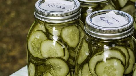 How To Make Pickles Step By Step Pickling For Beginners Recipes