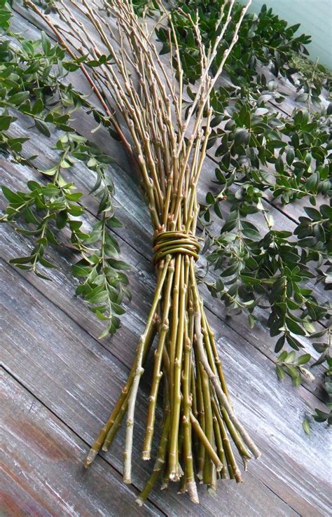 40 Green Willow Branches Length 23 Willow Twigs Set Etsy