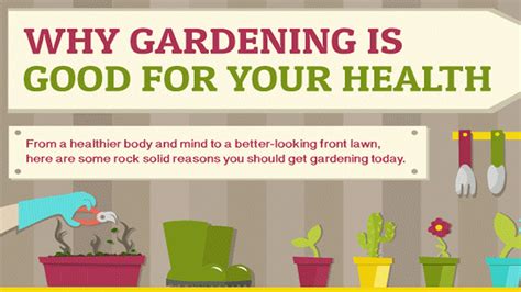 Health Benefits Of Gardening Infographic