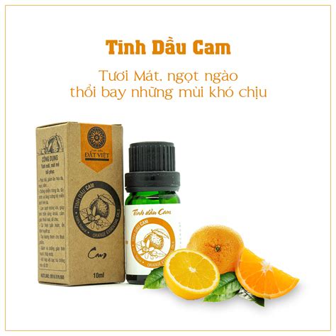 Tổng Hợp Hơn 22 Cách Làm Tinh Dầu Cam Tại Nhà Mới Nhất Vn