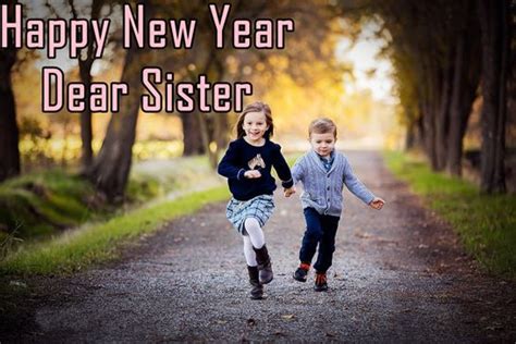 50 Best Happy New Year Sister 2020 Wishesquotesimages