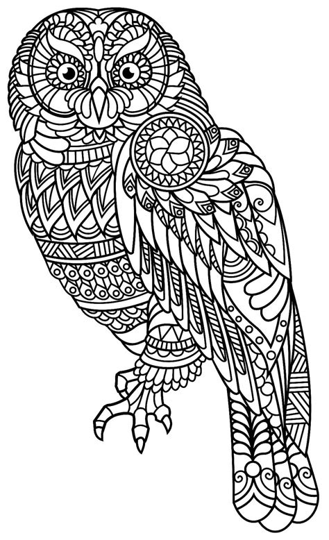 Mandala Owl Coloring Page Sheet 5 Download Print Now