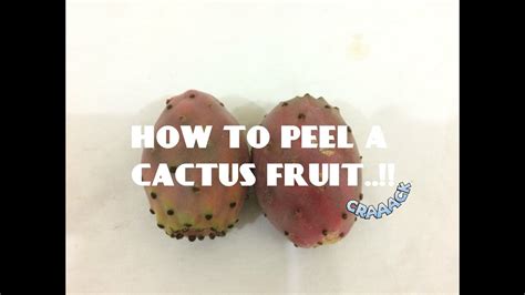You can eat cactus pear with the seeds, or you can spit them out. How to Peel a CACTUS FRUIT/ Prickly Pear?????? - YouTube