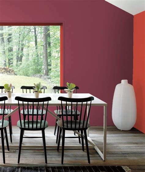 Ultimate Wall Colour Ideas Newline Painting