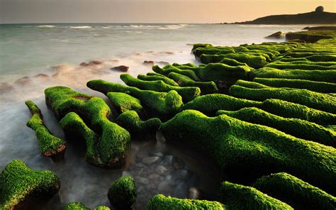 Wallpaper Sunlight Landscape Sea Water Rock Nature Grass Moss
