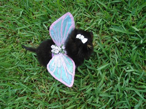 Puppy Fairy Costume Wings 12 Steps With Pictures