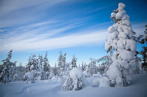 Ein großteil des landes ist von wald und wasser bedeckt. Hintergrundbilder Lappland Landschaft Finnland Natur ...