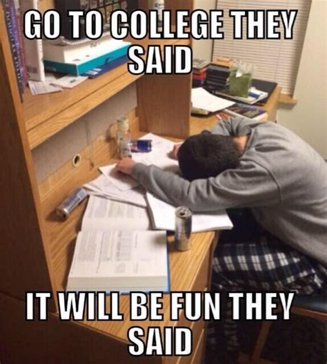 Very Funny Studying Memes University Memes Student Memes Images And