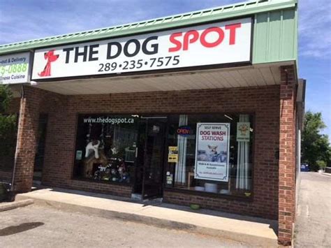 The Dog Spot Grimsby On Pet Supplies
