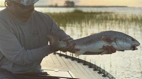 Fly Fishing For Redfish In Savanah Georgia ~ Saltwater Fishing Podcast