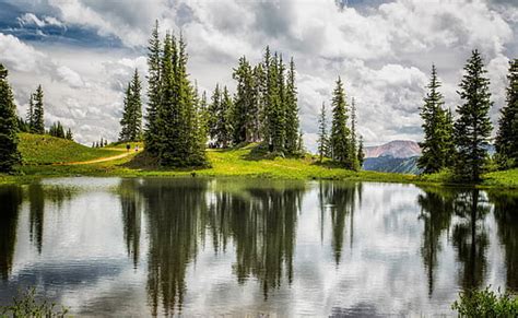 Hd Wallpaper Crested Butte Gothic Road Green Leafed Tree United