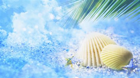 Cool Summer Backgrounds ·① Wallpapertag