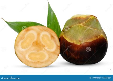 Palmyra Palm Toddy Palm Or Sugar Palm Fruit Isolated On White Stock