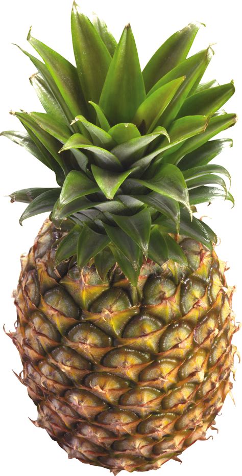 Pineapple Png Images Free Pictures Download