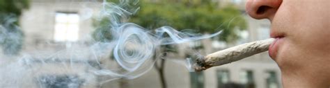Rediscover Center ¿cómo Saber Si Tu Hijo Está Fumando Marihuana