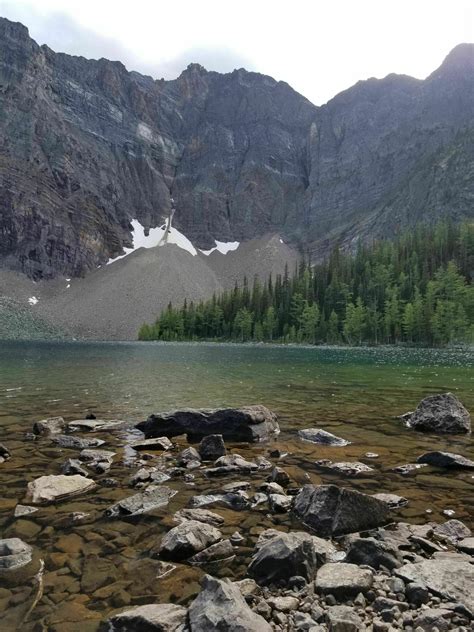 Photos Of Arnica Lake Trail Alberta Canada Alltrails