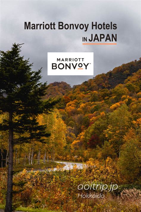 日本のマリオットボンヴォイ系列ホテル一覧｜marriott Bonvoy Japan あおいとりっぷ
