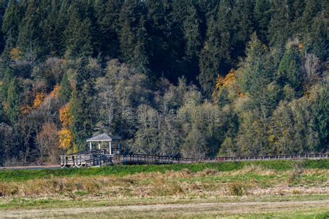 Nisqually Estuary Boardwalk Trail And Observation Tower In A Fall