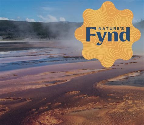 Food Tech Company Natures Fynd Secures 80 Million In Funding