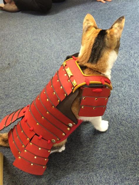 Japanese Company Creates Samurai Cat Armour For Your Cat And Dog