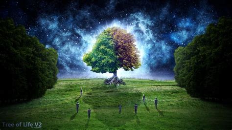 Hintergrundbild in responsivansicht zu groß. Trees fantasy art digital art Tree Of Life Starry Night ...