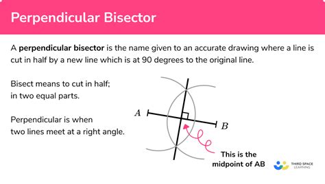 define perpendicular bisector