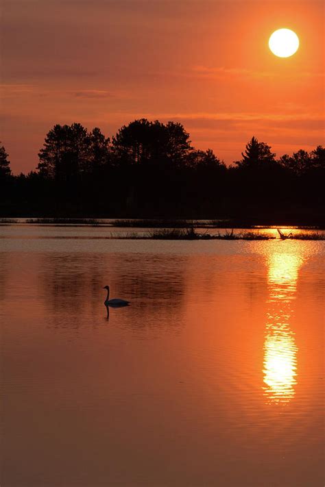 Sunrise Photograph By Linda Kerkau Fine Art America