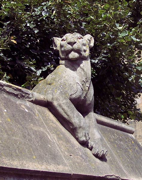 Cardiff Lioness The Walls By Cardiff Castle Feature A Numb Flickr