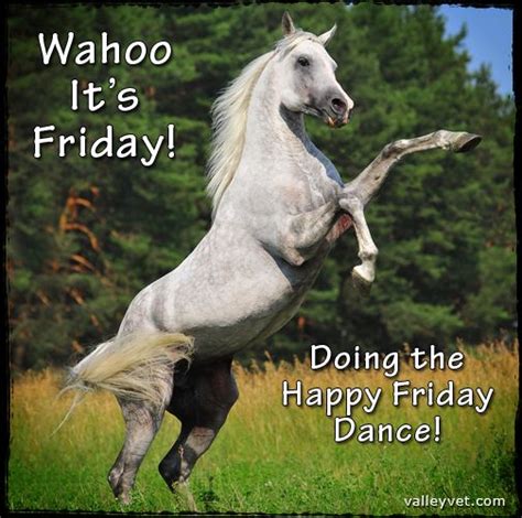 Wahoo Its Friday Doing The Happy Friday Dance Horse Sayings