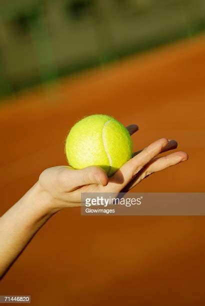 Woman Hand Holding Tennis Ball Photos And Premium High Res Pictures